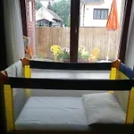 Privat 307 * Besenova